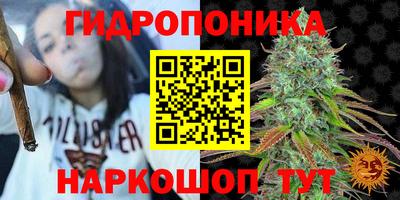 ECSTASY Пушкино